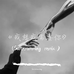 腹黑的老吴-我想我需要你(Surstromming remix）