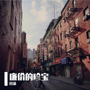 廉价的珍宝