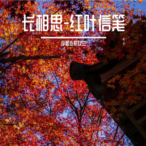 长相思-红叶信笺