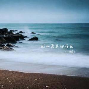 假如爱真的存在（DJ版）