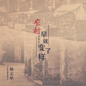农村早就变了样（重置版）