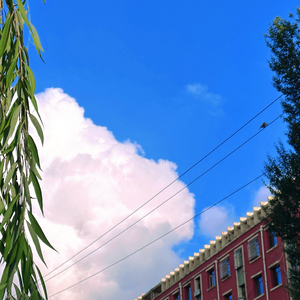 若是月亮还没来