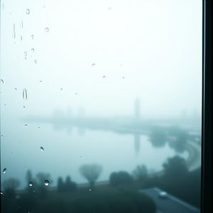 王姑娘，南京的雨又下了