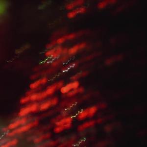 I am not a sacrifice