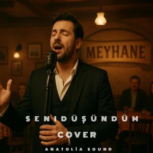 Seni Düşündüm - (Susamışken Gönlüm Aşka Sevgiye)