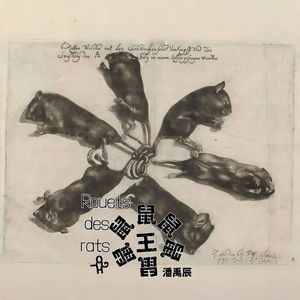 鼠王
