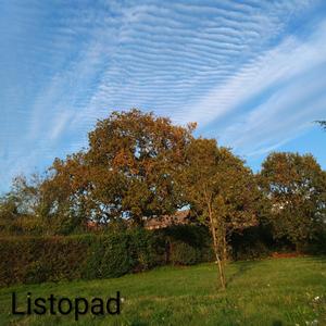 Listopad