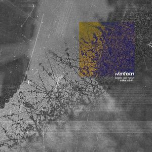 when the rain - forgets your name