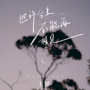 也许今生不能再相见