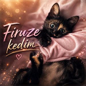 FİRUZE KEDİM