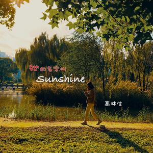 她的名字叫Sunshine (伴奏)