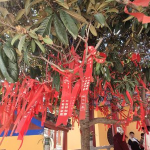 高马尾下的遗憾