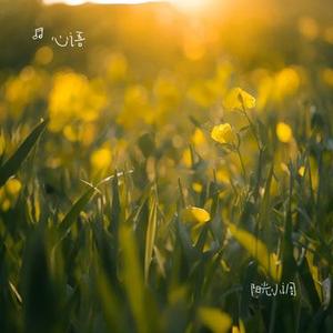 阳光小调
