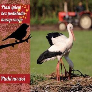 Bocian bialy (klekot) na przemian z dudkiem. Ponadto: czajka, wróbel, zuraw, dziwonia, gegawa, kapturka, krwawodziób, mazurek, pelzacz ogrodowy, piecuszek, pliszka zólta, rycyk, skowronek, smieszka, t