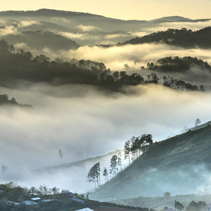 Thoughts Of The Rider