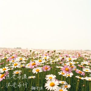 愿你追光而遇沐光而行