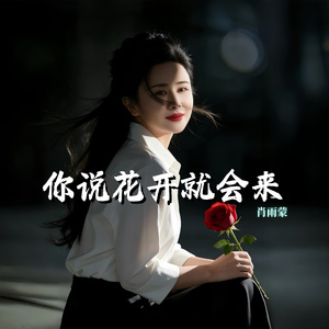 你说花开就会来 伴奏