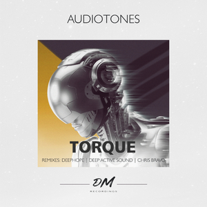 Torque (Original Mix)