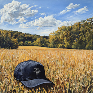 wasted on you - lofi