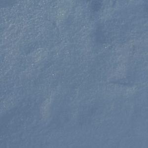 Snow in October
