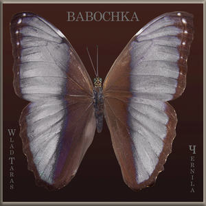 Babochka