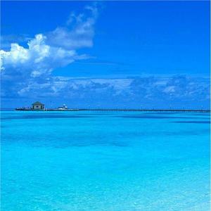 我的思念如泉水