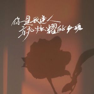 你是我逢人就炫耀的玫瑰