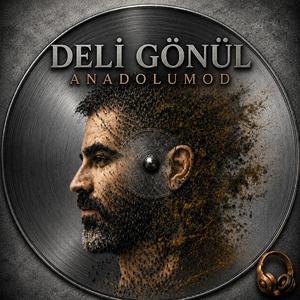 YAN DERDİNE DELİ GÖNÜL