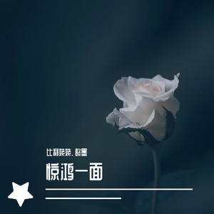 惊鸿一面