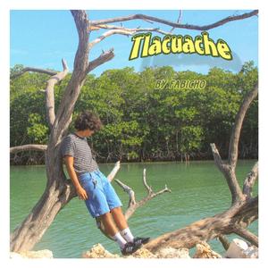 Tlacuache