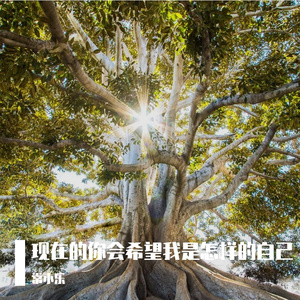 现在的你会希望我是怎样的自己