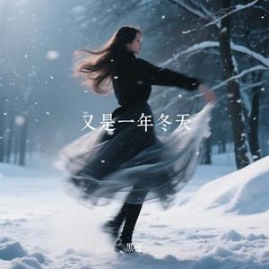 又是一年冬天 (黑子 Remix)