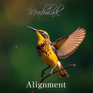 Alignment