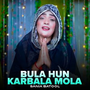 Bula Hun Karbala Mola