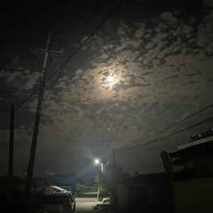 Four Million Year Outing