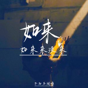 如来来没来