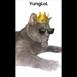 Job Application (feat. Perion)