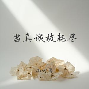当真诚被耗尽
