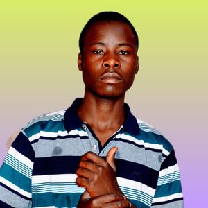 Sheddflavour _ Nishazama