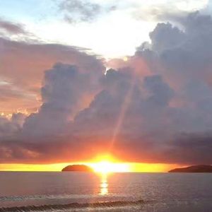 “相 互 依 存”