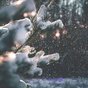 Interlude of Visitors On The Icy Mountain