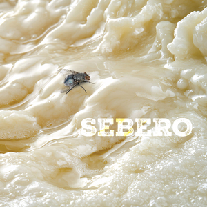 SEBERO