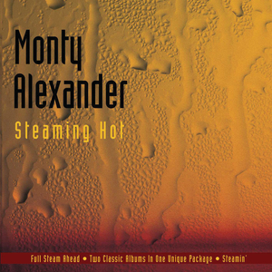 Theme From The Pawnbroker (Album Version)