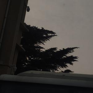 无上虚皇至真三宝(十二者)