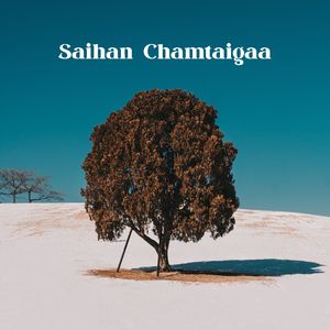 Saihan Chamtaigaa