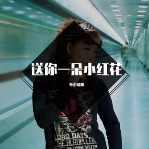送你一朵小红花