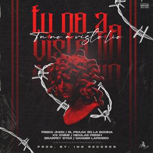 TU NO A VISTO LIO (feat. FREKO JHON ING, EL PRAAK EN LA BOCINA, BRAFEY STAR, DANGER LAPICERO, NICOLAS Fresh & X9NINE)
