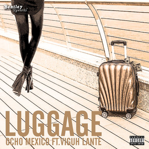 Luggage