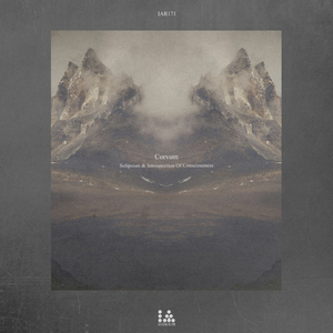 Solipsism & Introspection Of Consciousness III (Original Mix)