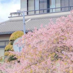 情歌两三首